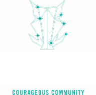 BOAR Logo